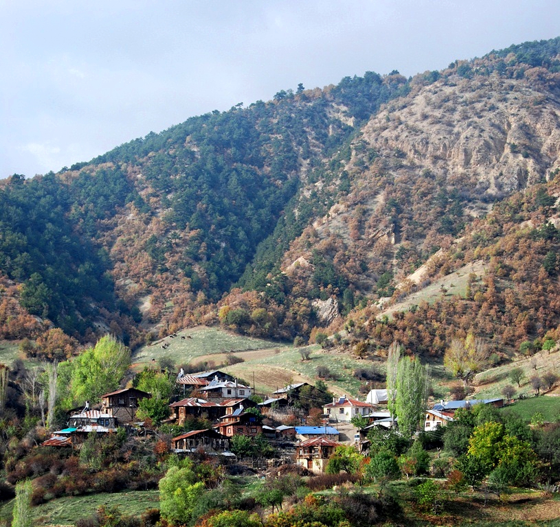 Boyali Village