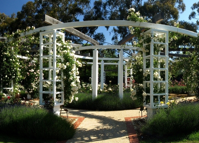 Gardens old parliment house canberra australia