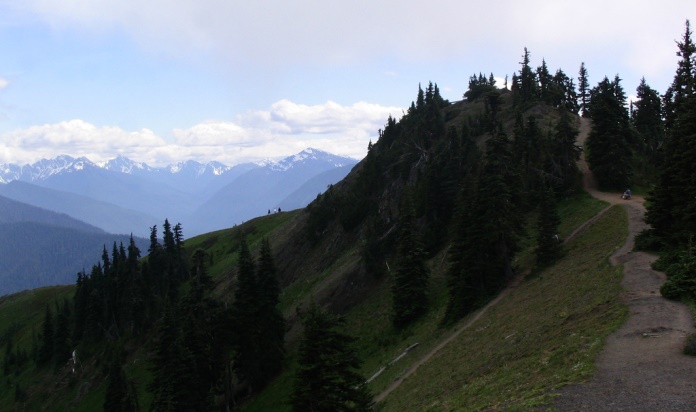 Olympic National park