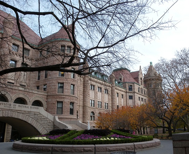 American museum of natural history