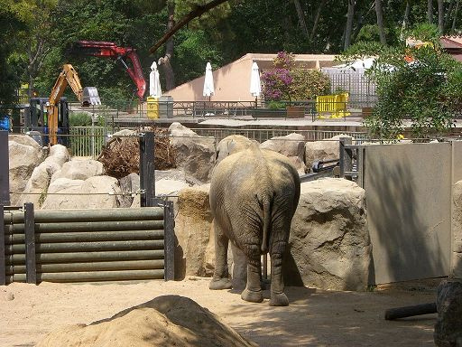 Barcelona zoo