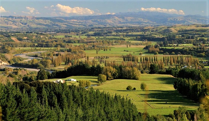 Manawatu Scenic Route